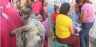 Moradores rescataron a una octogenaria y a su gato ‘Mascarita’ durante fuego en la vivienda de Teniente Gobernador en Ica